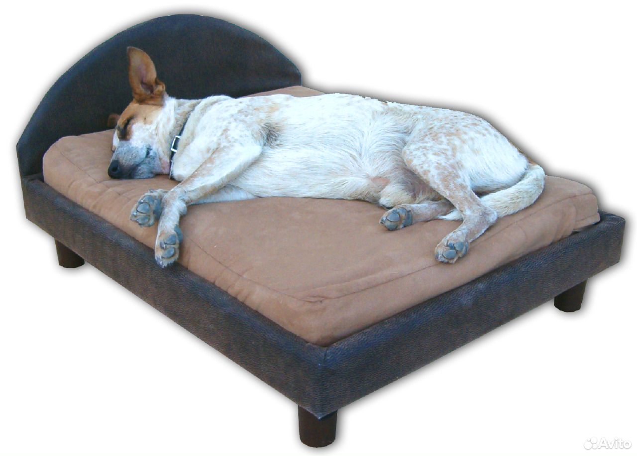 лежанка диван для собаки своими руками