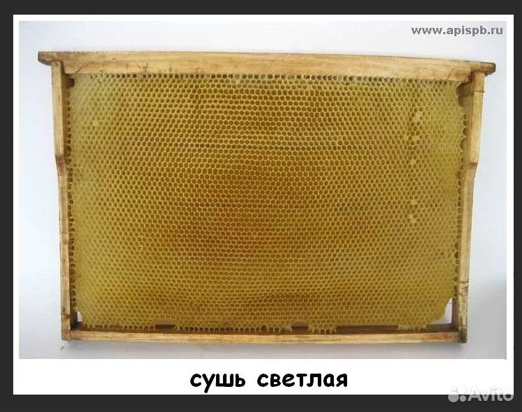 Пчелиные рамки для ульев купить на Зозу.ру - фотография № 1