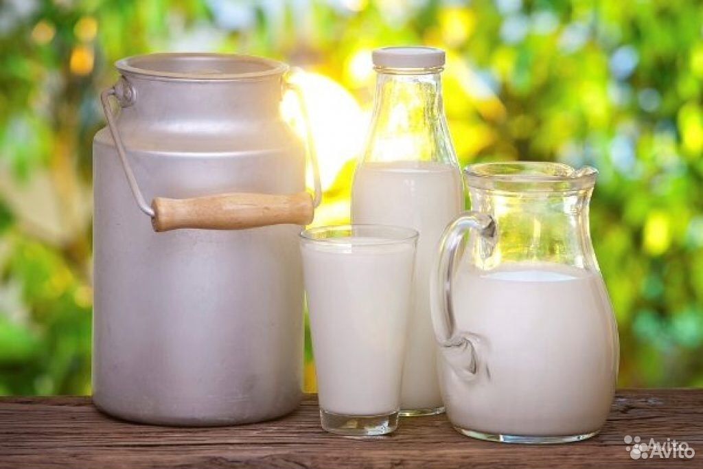 Молочные продукты купить на Зозу.ру - фотография № 1