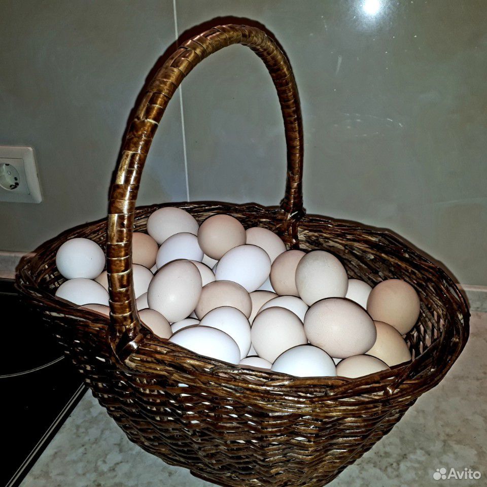 Куриные яйца купить на Зозу.ру - фотография № 3