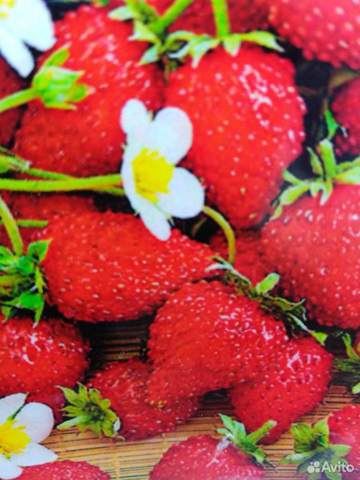Дикие сибирские ягоды купить на Зозу.ру - фотография № 5
