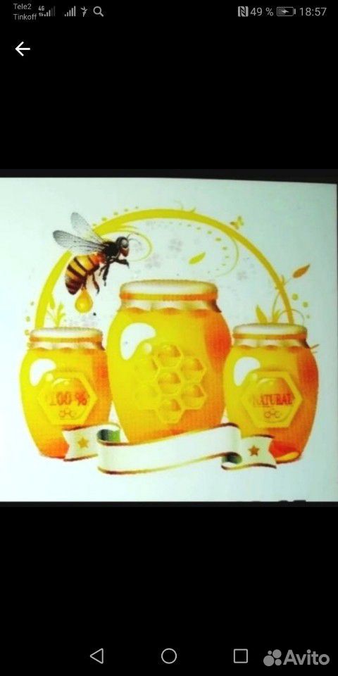 Отличный мед и другие продукты пчеловодства купить на Зозу.ру - фотография № 10