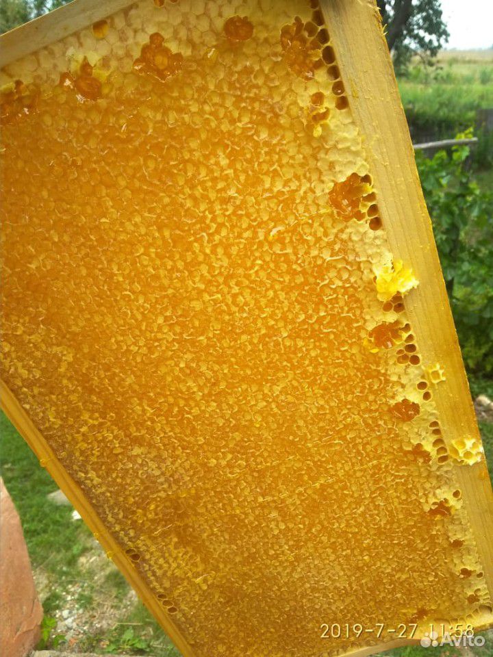Мёд, вкусный, натуральный купить на Зозу.ру - фотография № 3