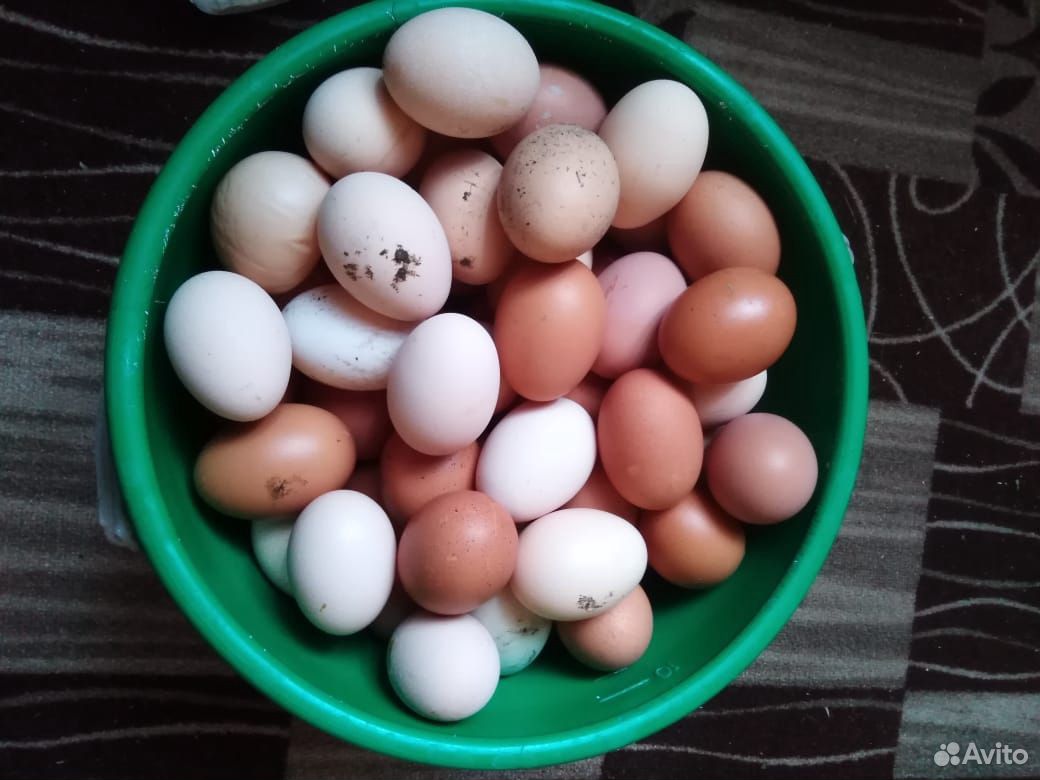 Яйца куриные, фермерские купить на Зозу.ру - фотография № 1