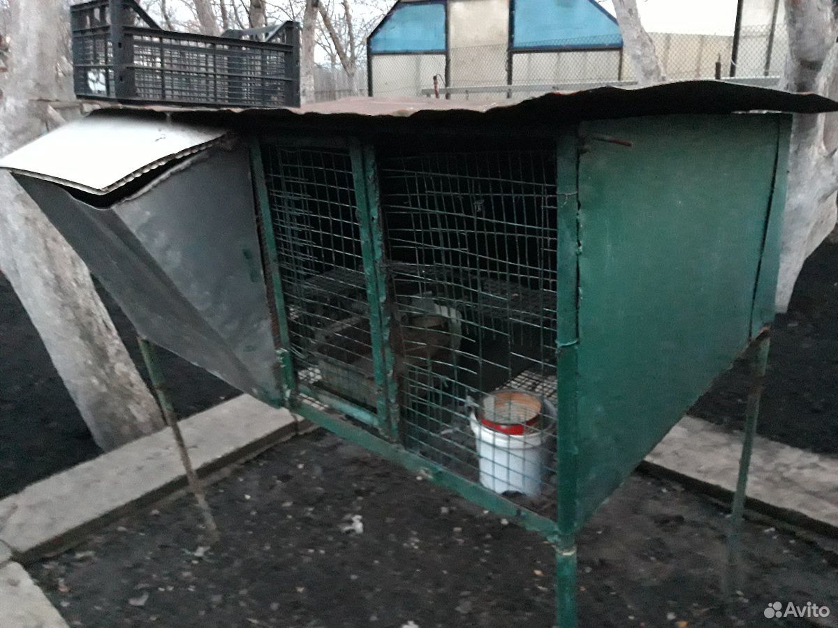Клетка для кроликов купить на Зозу.ру - фотография № 3