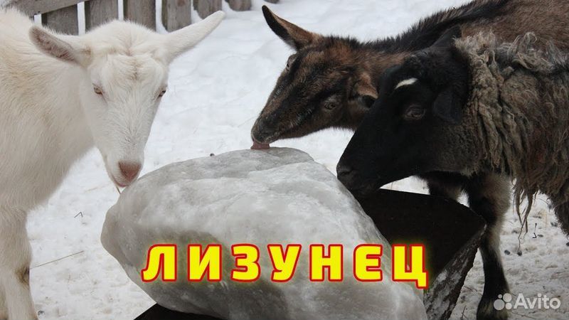 Соль для крс и лосей купить на Зозу.ру - фотография № 1