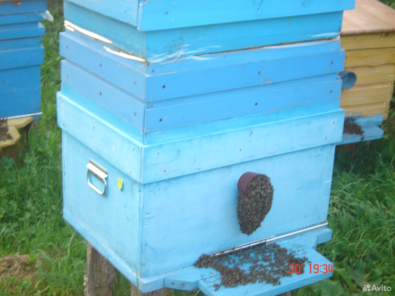 Рамки ульевые для пчел купить на Зозу.ру - фотография № 1
