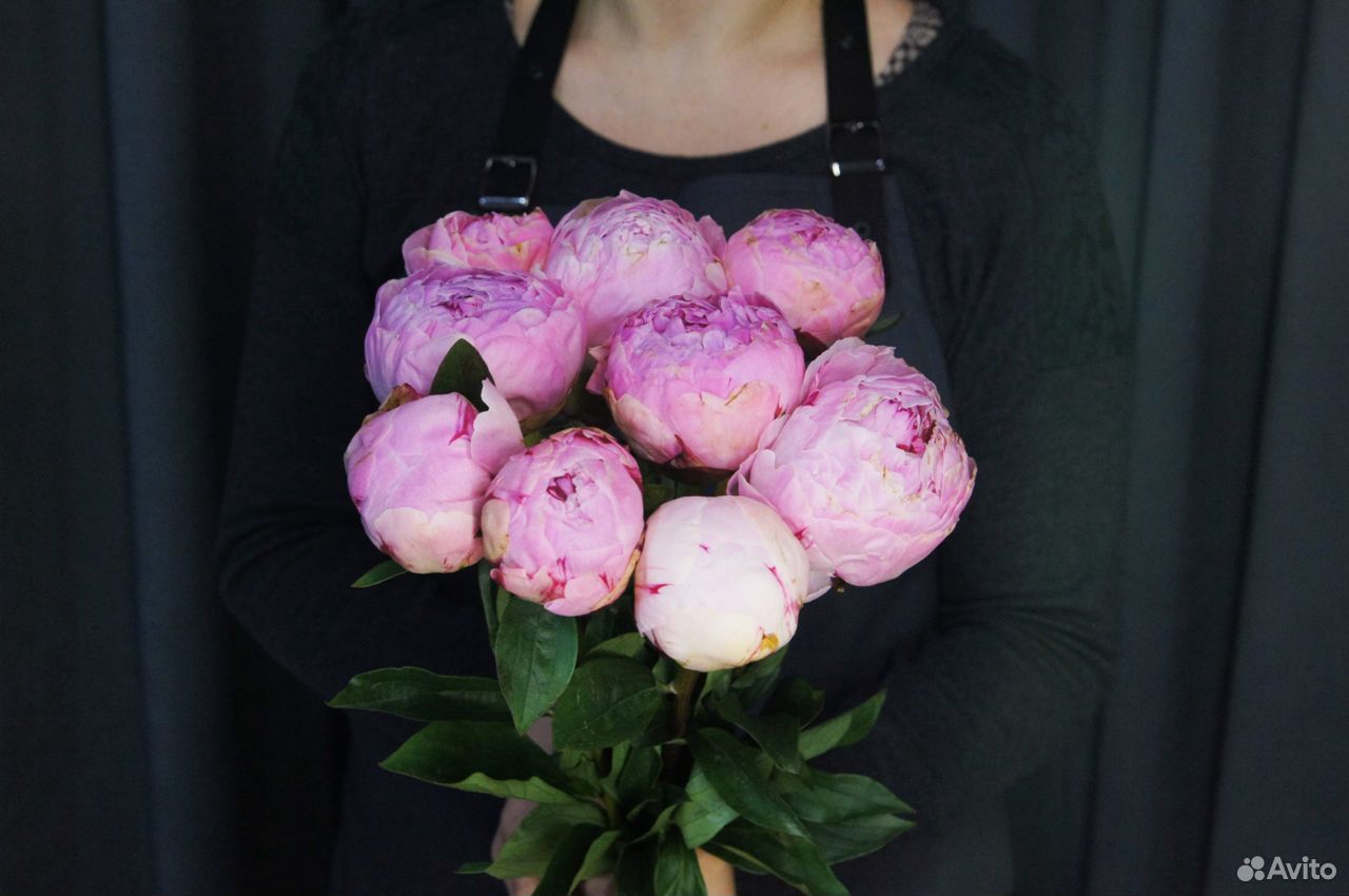 9 розовых пионов с атласной лентой купить на Зозу.ру - фотография № 1