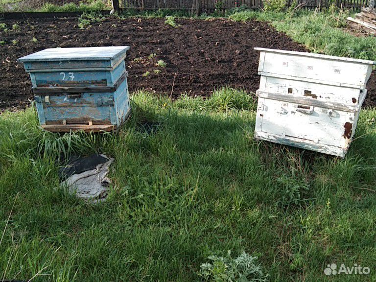 Ульи б/у, раздвижная платформа для перевозки пчёл купить на Зозу.ру - фотография № 3