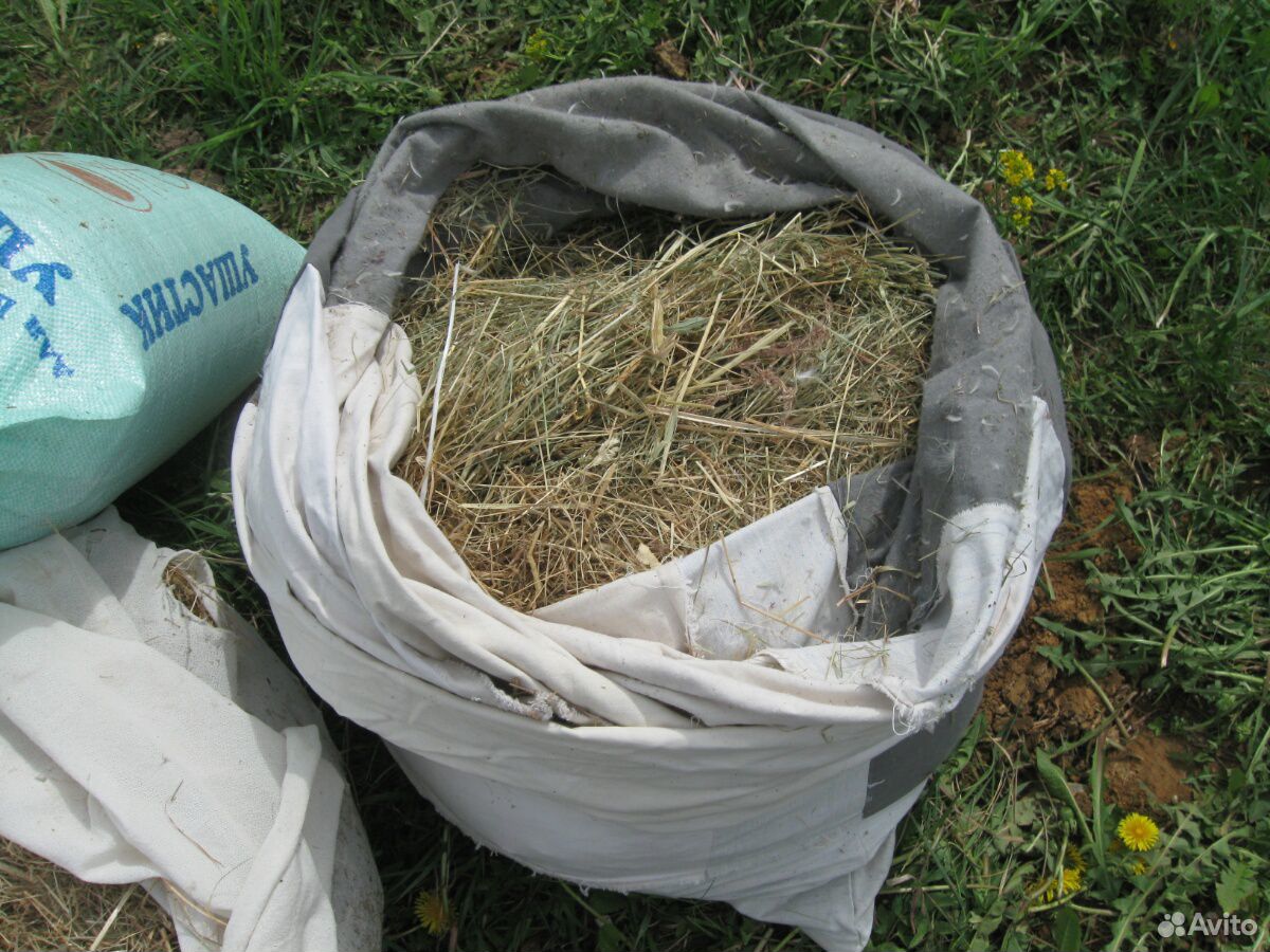 Комбикорм, сено для грызунов купить на Зозу.ру - фотография № 4