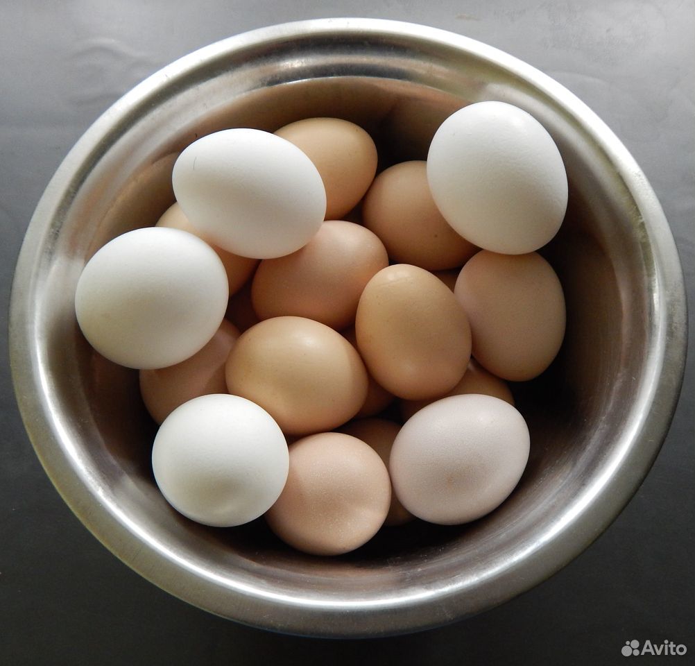 Яйцо домашнее инкубационно-пищевое купить на Зозу.ру - фотография № 1