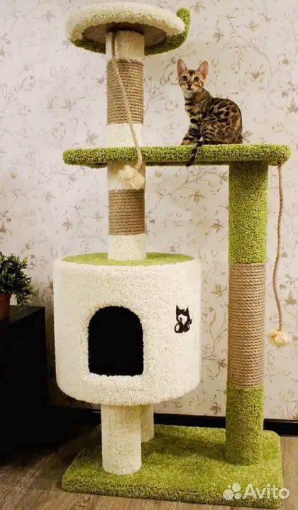 Фото когтеточек для котов с домиком