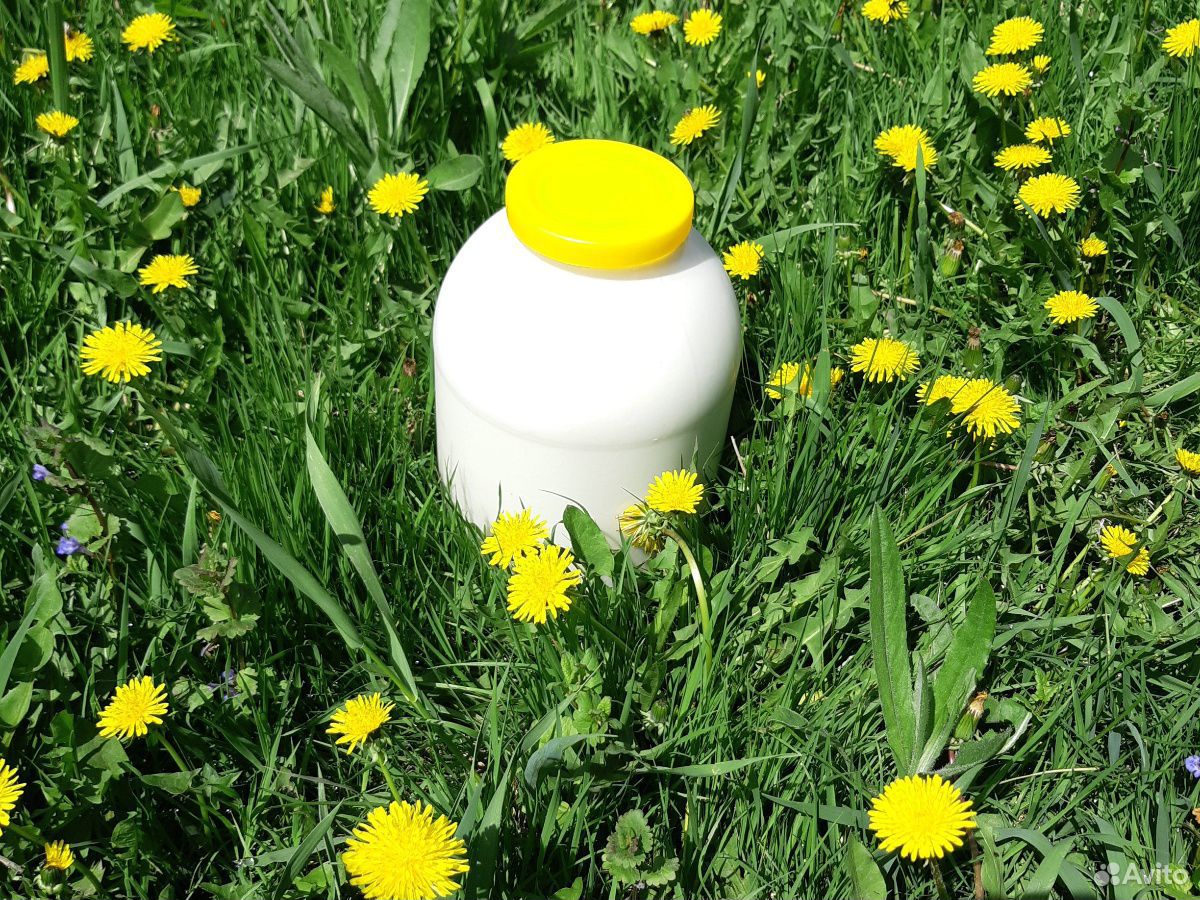 Молоко козье натуральное купить на Зозу.ру - фотография № 1