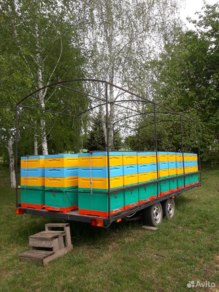 Продается пасека на прицепе с пчелами Карника купить на Зозу.ру - фотография № 2