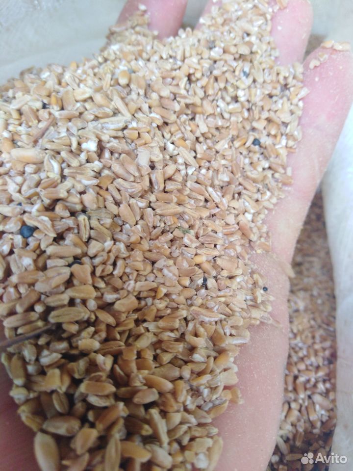 Сечка пшеничная купить на Зозу.ру - фотография № 1