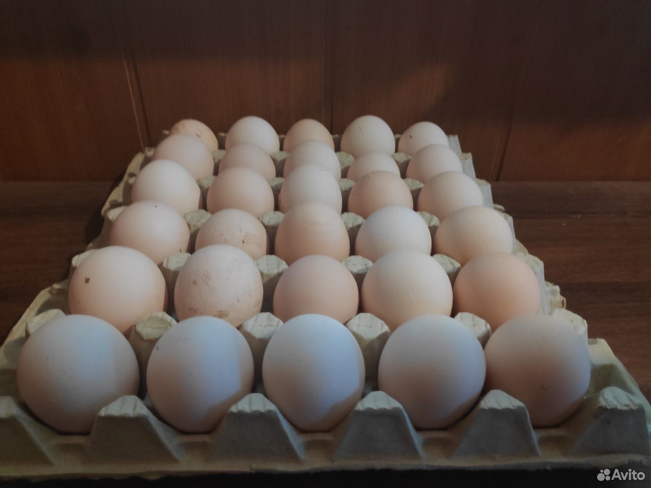 Продается яйцо куриное купить на Зозу.ру - фотография № 1