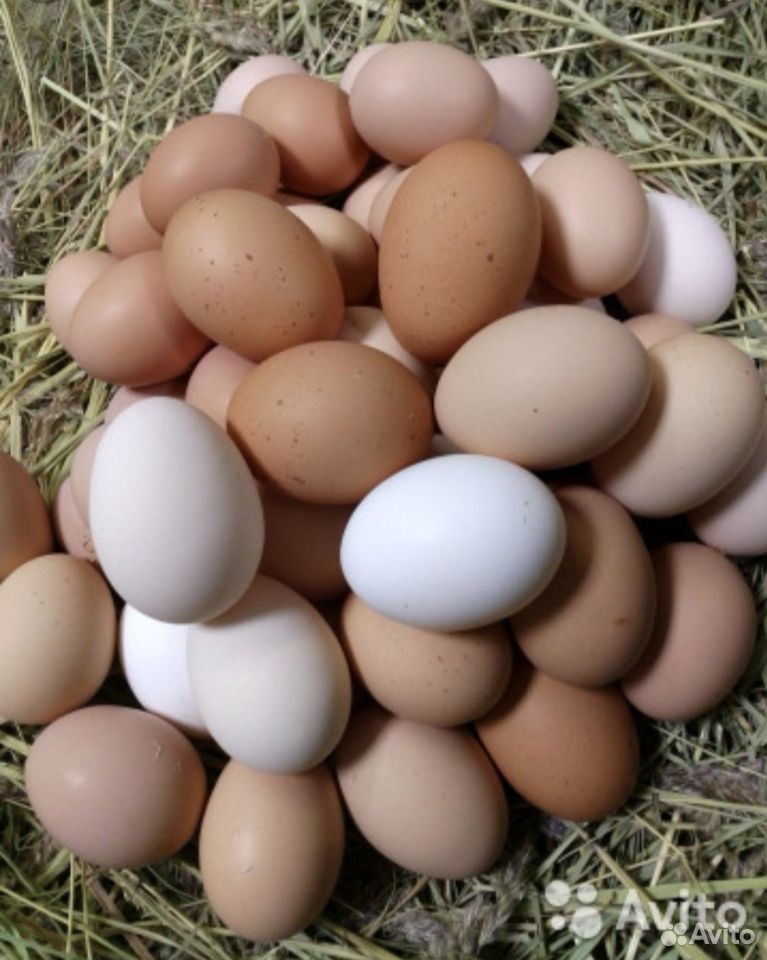Молоко козье яйца куриные купить на Зозу.ру - фотография № 2