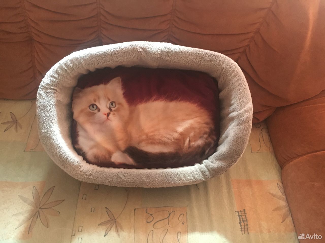 Продаю кроватку для кота, новая купить на Зозу.ру - фотография № 2