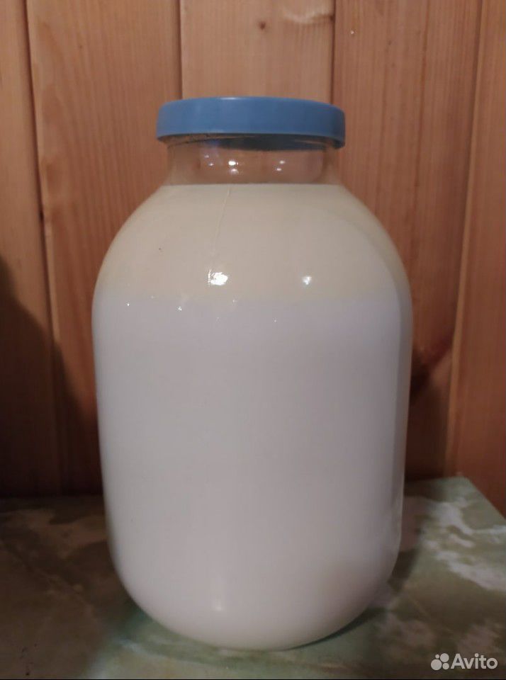 Свое молоко от доброй коровы купить на Зозу.ру - фотография № 1