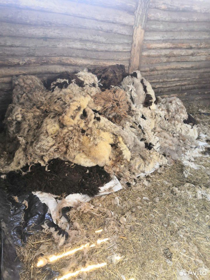 Продам шерсть овчиное на вязку купить на Зозу.ру - фотография № 2