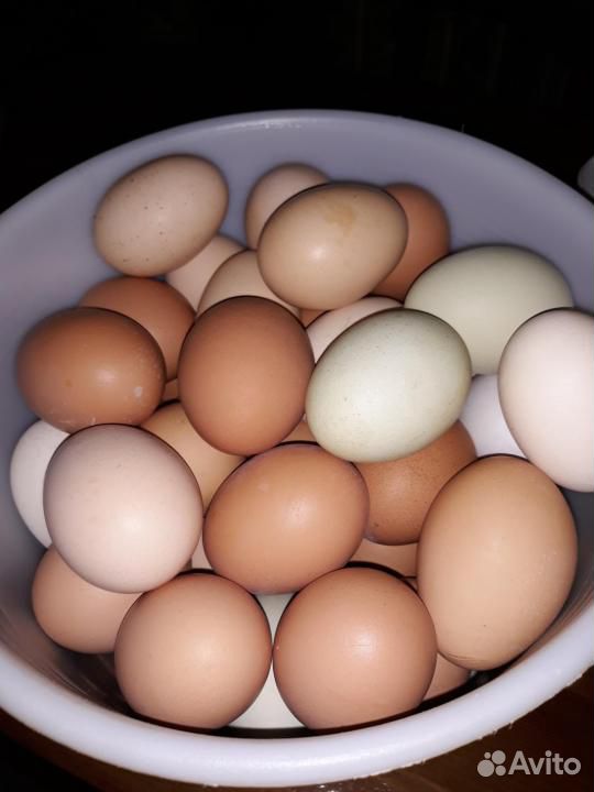 Картофель, яйцо купить на Зозу.ру - фотография № 2