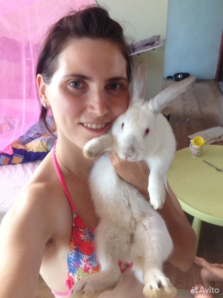 Кролик белый самочка купить на Зозу.ру - фотография № 5