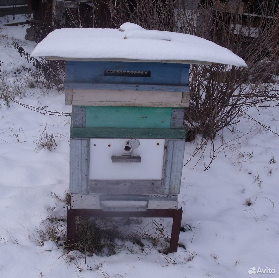 Улей, медогонка + инвентарь для пчеловода купить на Зозу.ру - фотография № 2