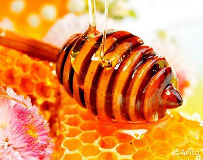 Мёд липовый свежий купить на Зозу.ру - фотография № 3