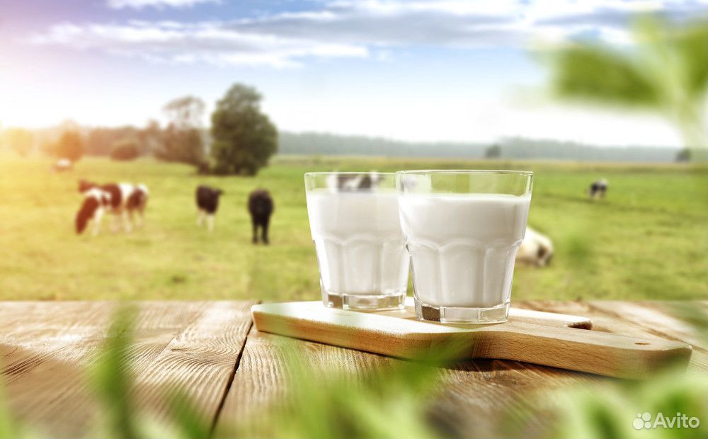 Молочная продукция от домашних коров купить на Зозу.ру - фотография № 1