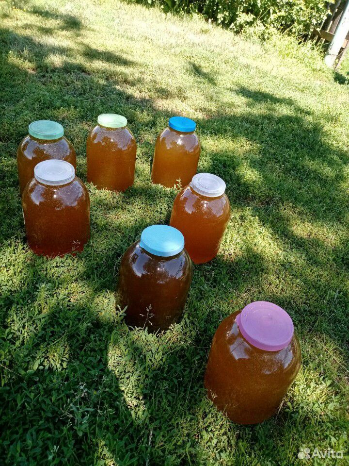Мед вкусный, полезный, качественный купить на Зозу.ру - фотография № 1