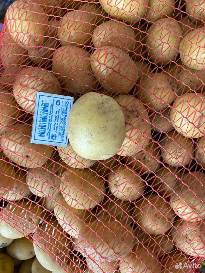 Картофель купить на Зозу.ру - фотография № 1