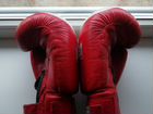 Боксерские перчатки everfast объявление продам