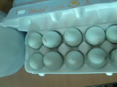 Инкубационное яйцо породных кур