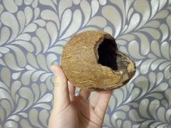 Декорация кокос для аквариума