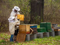 Пчеловодческий инвентарь