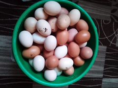 Яйца куриные, фермерские