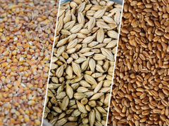 Реализация зерна, кормов и др