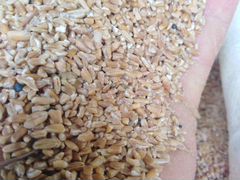 Сечка пшеничная