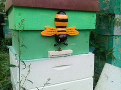 Пчёлы с ульем