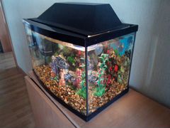 Украшение для аквариума аквариум 25 литров с рыбка