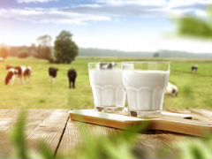 Молочная продукция от домашних коров
