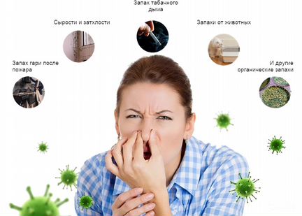 Уборка и удаление любых запахов и вирусов