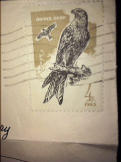 Марка почта СССР коршун 4к 1965