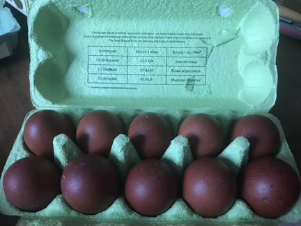 Инкубационное яйцо и цыплята 4-х пород