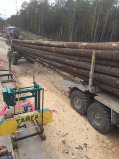 Бизнес лесозаготовка лесопиление