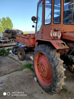 Трактор т-16 шастик