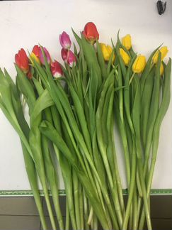 Доставка цветов(тюльпанов) на 8 марта