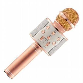 Беспроводной микрофон караоке WS-858/ ТЦ Калина
