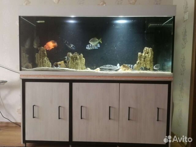 Аквариум на 500 литров с тумбочкой и комплектующих
