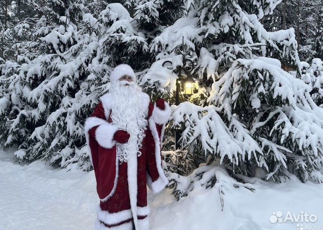 Дед Мороз и Снегурочка